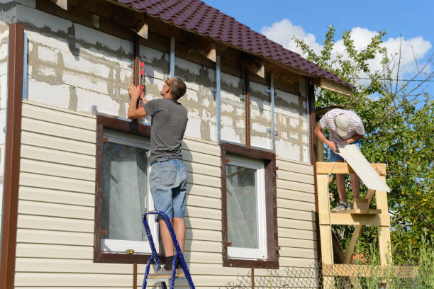 Best Custom Siding Design  in Lovettsville, VA